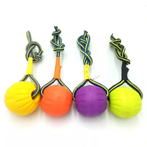 Indestructible teeth rubber bite funny puppy training ball chew toys play go get solid with carrier rope dog pet