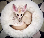 Enough in Stock Pet Bed Fluffy Luxe Pet Bed for Dogs & Cats, Anti-Slip, Waterproof Base Durable 40-100cm