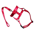 Dog Pet Dog Padded Head Collar Gentle Halter Leash Leader Stop Pulling Training Muzzles Tools