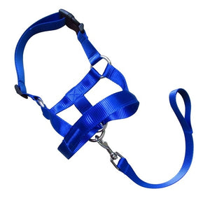 Dog Pet Dog Padded Head Collar Gentle Halter Leash Leader Stop Pulling Training Muzzles Tools